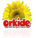 ORKİDE